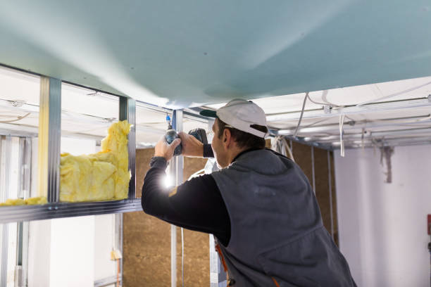 Best Cellulose Insulation in Windham, OH