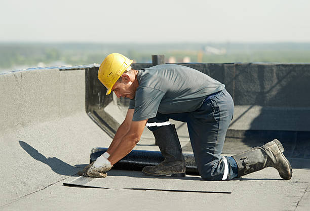 Best Specialized Insulation Services in Windham, OH